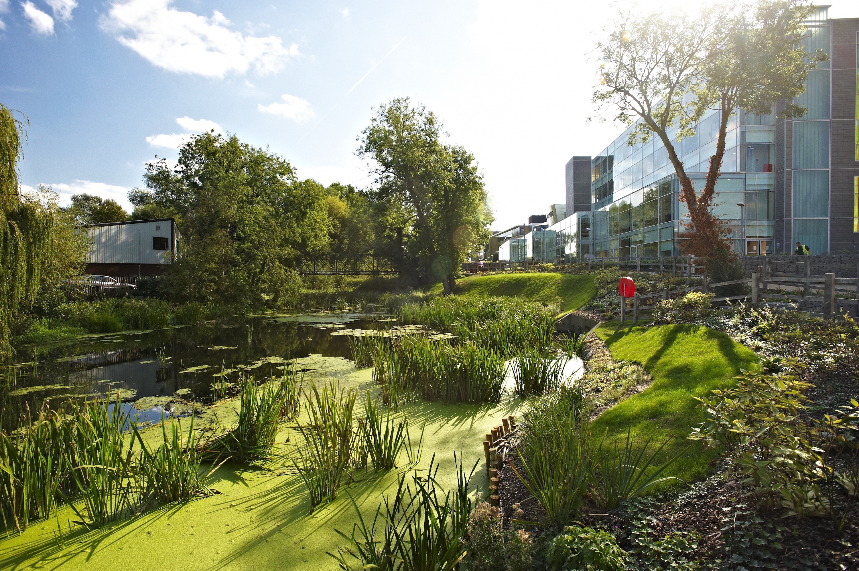 Sunny day overlooking the river and green grass running alongside the Chelmsford academic buildings