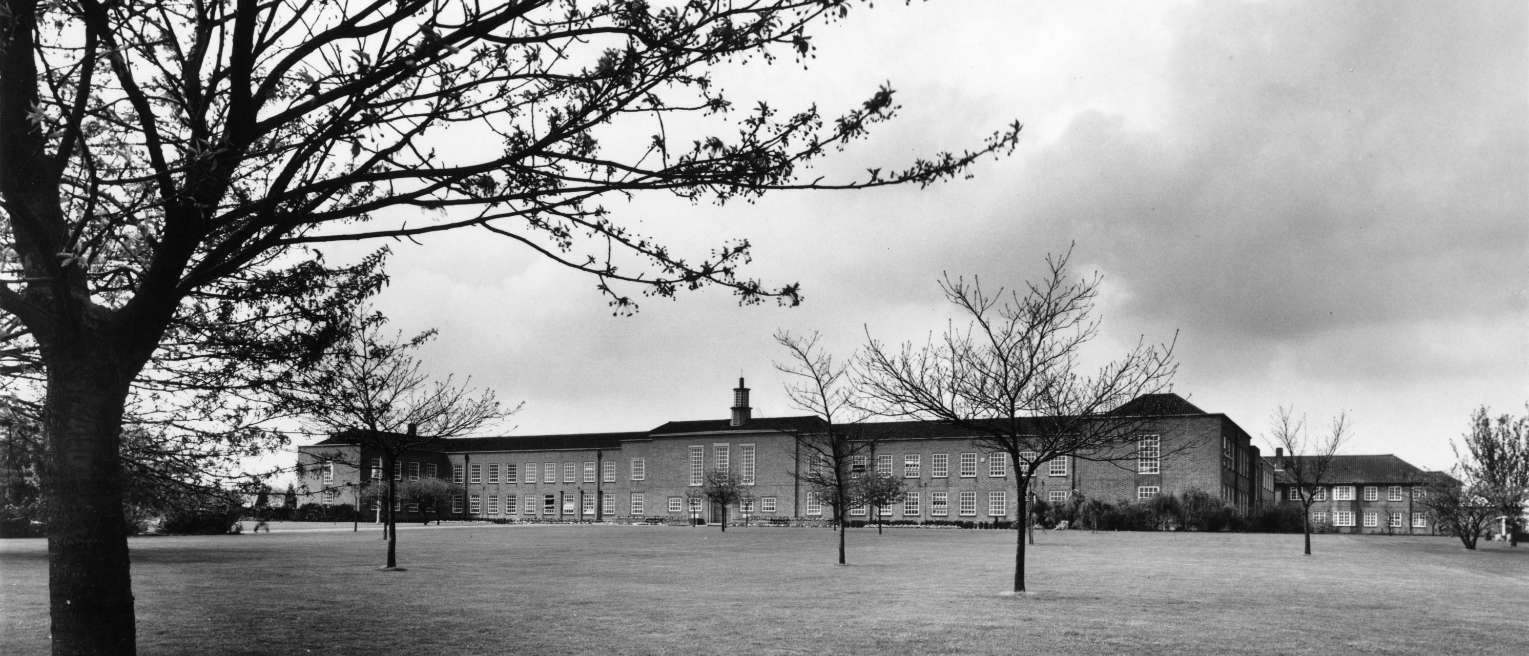 Sunny day overlooking the river and green grass running alongside the Chelmsford academic buildings